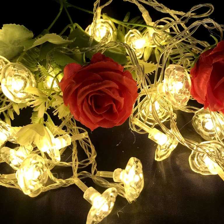 LUCES GUIRNALDA ROSA LED CALIDA C/ENCHUFE